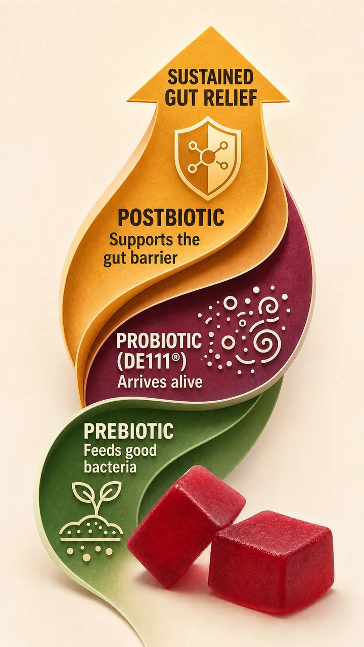 Three-layer tribiotic stack rising from two red cube-shaped tart cherry Gut Gummies